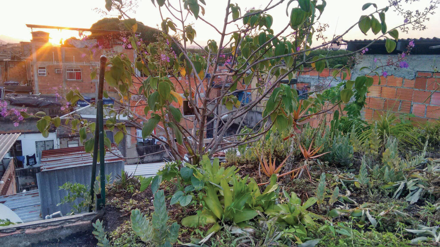 Brazil's Favelas: A Model For Green Architecture And Sustainable Living ...