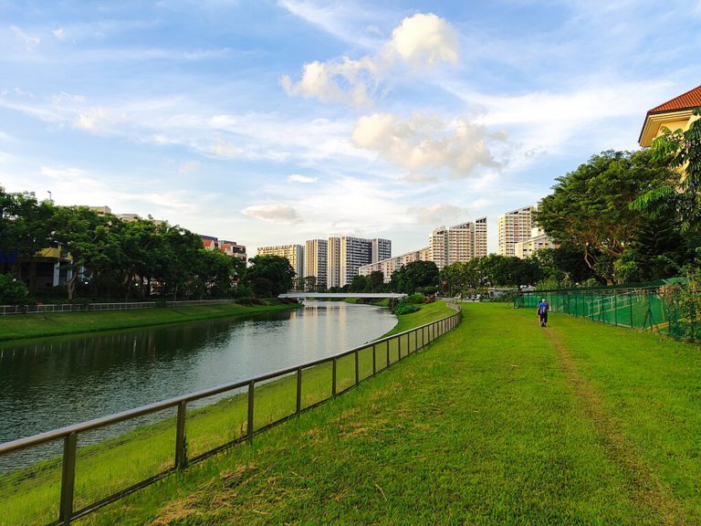 URA collaborates with Singapore Polytechnic to ideate landscaping for ...